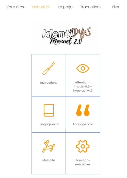 Visuel d'une page de manuel "IdentityDys" présentant 6 pictogrammes avec légendes : un pinceau pour "instructions", un œil pour "attention", une feuille pour "engagement", des guillemets pour "langage oral", un personnage pour "séances", et des engrenages pour "coaching scolaire"